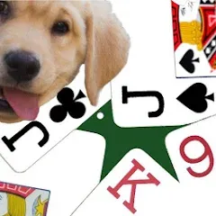Скачать Взломанная K9 Euchre на Андроид (Всё открыто и без рекламы)