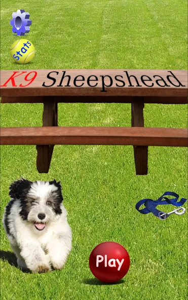 K9 Sheepshead (Schafkopf) (Шипсхед) МОД/Взлом [Много монет, Открытые уровни и Мега MOD] Screenshot 1