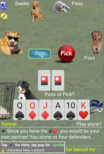 K9 Sheepshead (Schafkopf) (Шипсхед) МОД/Взлом [Много монет, Открытые уровни и Мега MOD] Screenshot 2