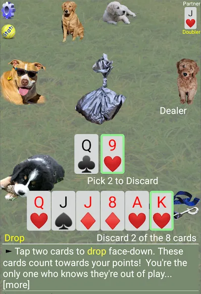 K9 Sheepshead (Schafkopf) (Шипсхед) МОД/Взлом [Много монет, Открытые уровни и Мега MOD] Screenshot 3