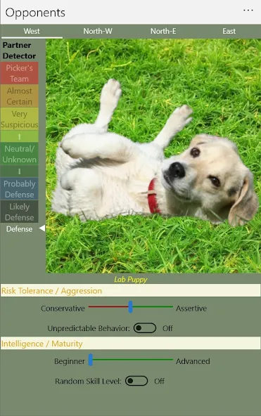 K9 Sheepshead (Schafkopf) (Шипсхед) МОД/Взлом [Много монет, Открытые уровни и Мега MOD] Screenshot 5