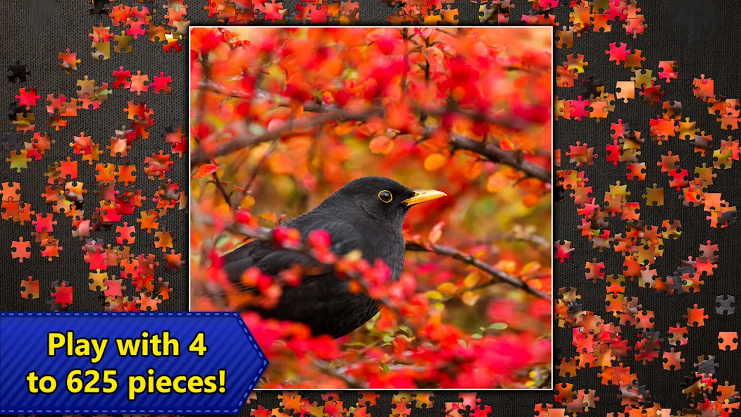 Jigsaw Puzzles Epic МОД/Взлом [Бесконечные деньги, Монеты и Мега MOD] Screenshot 5