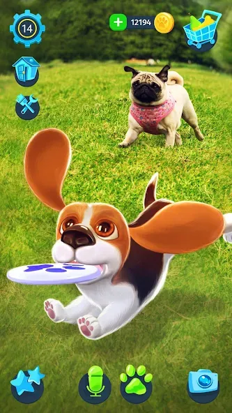 Tamadog - Puppy Pet Dog Games (Тамадог) МОД/Взлом [Бесконечные деньги, Монеты и Мега MOD] Screenshot 3