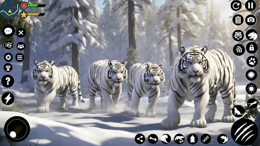Arctic White Tiger Family Sim МОД/Взлом [Много монет, Открытые уровни и Мега MOD] Screenshot 4