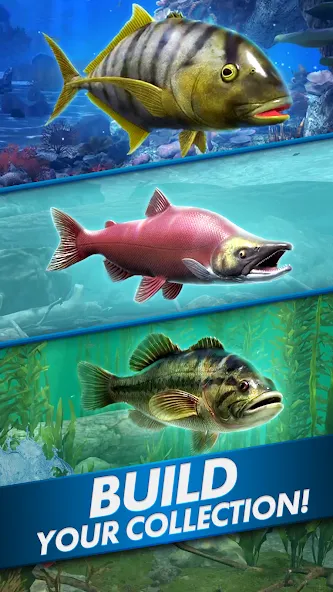 Ultimate Fishing! Fish Game МОД/Взлом [Все открыто, Дополнительные деньги и Меню MOD] Screenshot 5