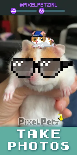 Pixel Petz — скриншот 4