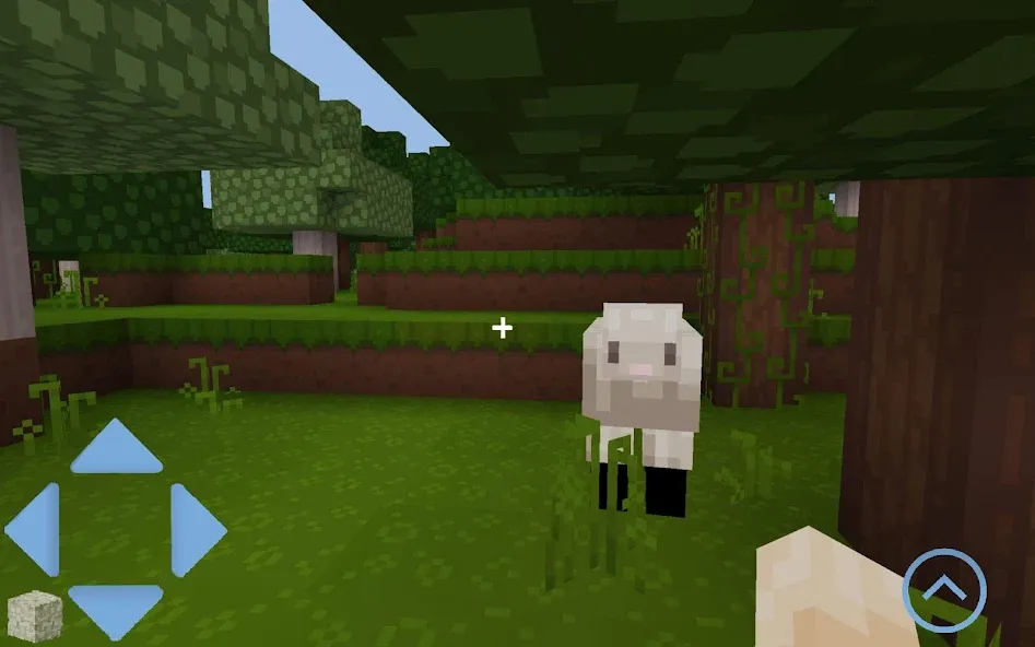 Craft World (Майккрафт) МОД/Взлом [Деньги, Монеты и Меню MOD] Screenshot 5