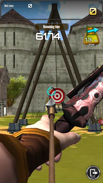 Archery Big Match МОД/Взлом [Много монет, Открытые уровни и Мега MOD] Screenshot 5