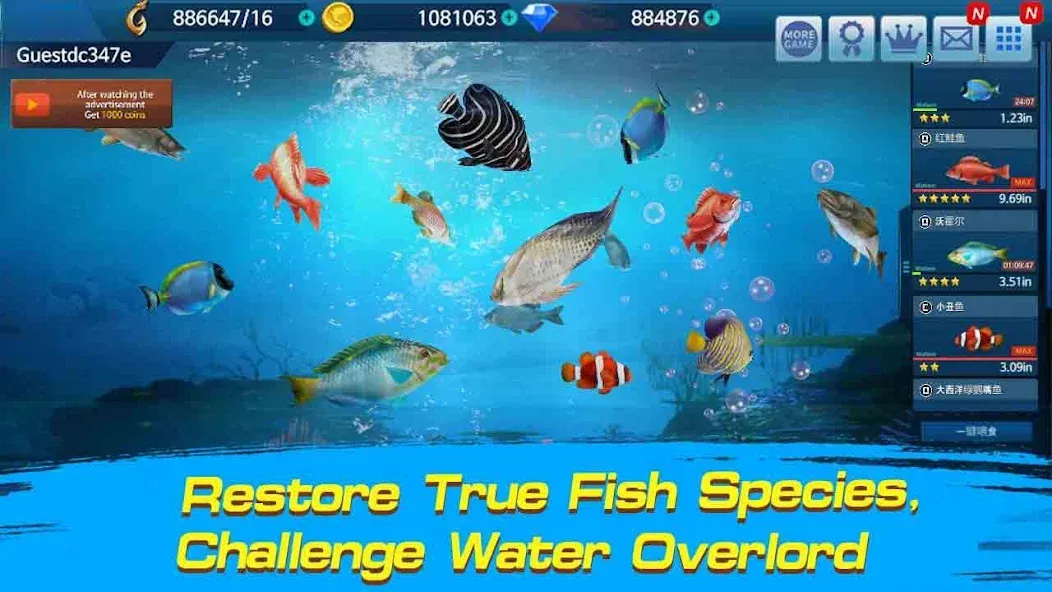 Fishing Championship МОД/Взлом [Много денег, Монет и Все открыто] Screenshot 2