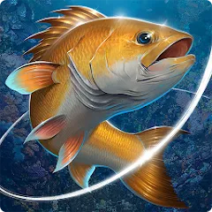 Скачать Fishing Hook Взломанная версия (много денег) на Андроид бесплатно
