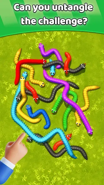Tangled Snakes Puzzle Game (Танглед Снейк 3Д) МОД/Взлом [Деньги, Монеты и Меню MOD] Screenshot 5