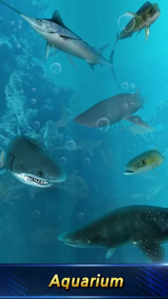 Monster Fishing 2024 МОД/Взлом [Все открыто, Дополнительные деньги и Меню MOD] Screenshot 2