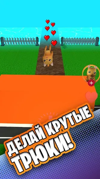 Simbachka Run (Симбачка Ран) МОД/Взлом [Деньги, Монеты и Меню MOD] Screenshot 2