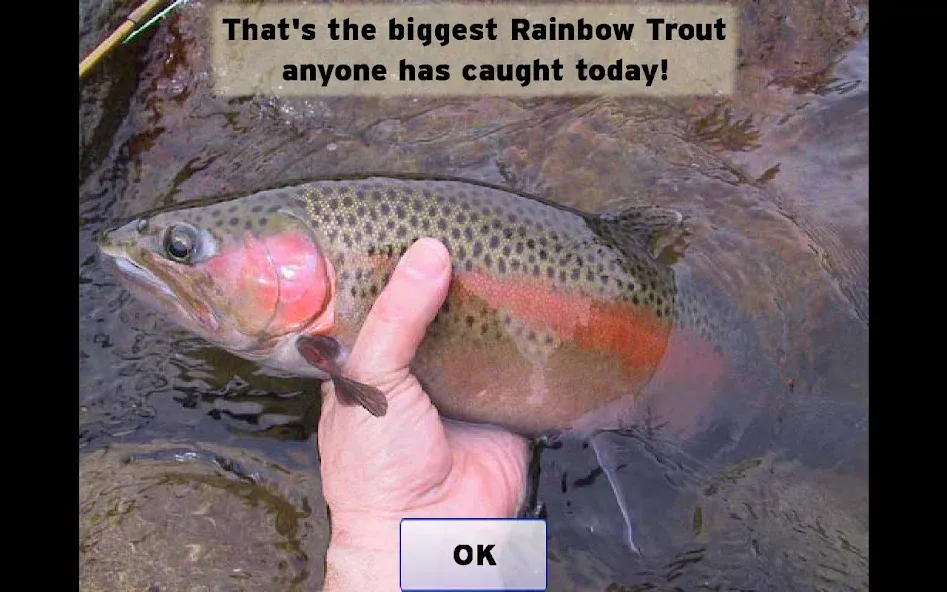 Fly Fishing Simulator (Флай Фишинг Симулятор) МОД/Взлом [Много монет, Открытые уровни и Мега MOD] Screenshot 5
