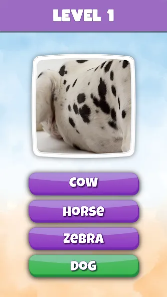 What is it? Pics Trivia Quiz МОД/Взлом [Деньги, Монеты и Меню MOD] Screenshot 2