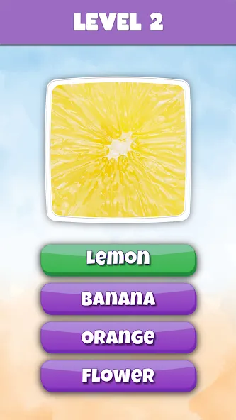 What is it? Pics Trivia Quiz МОД/Взлом [Деньги, Монеты и Меню MOD] Screenshot 3