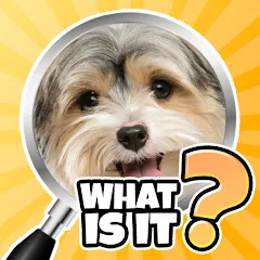 Скачать What is it? Pics Trivia Quiz Взлом (Все подсказки открыты) на Андроид бесплатно