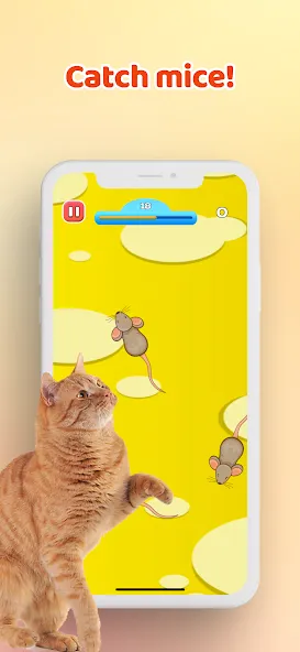 Games for Cat－Toy Mouse & Fish МОД/Взлом [Меню, Бесконечные монеты и Открытые уровни] Screenshot 1