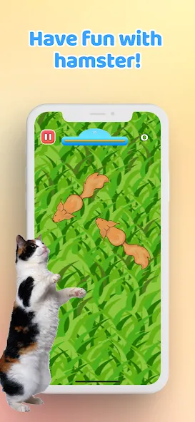 Games for Cat－Toy Mouse & Fish МОД/Взлом [Меню, Бесконечные монеты и Открытые уровни] Screenshot 5