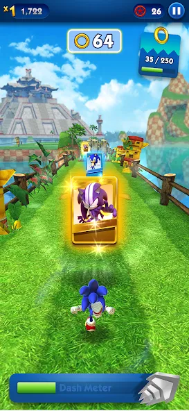 Sonic Dash - Endless Running (Соник Дэш) МОД/Взлом [Деньги, Монеты и Меню MOD] Screenshot 4