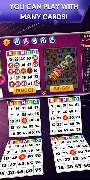Bingo - Offline Bingo Game МОД/Взлом [Все открыто, Дополнительные деньги и Меню MOD] Screenshot 1