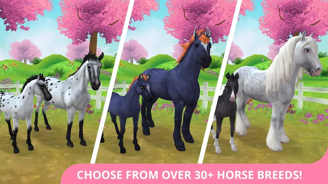 Star Stable Horses (СТар Стабл Хорсес) МОД/Взлом [Много денег, Монет и Все открыто] Screenshot 1