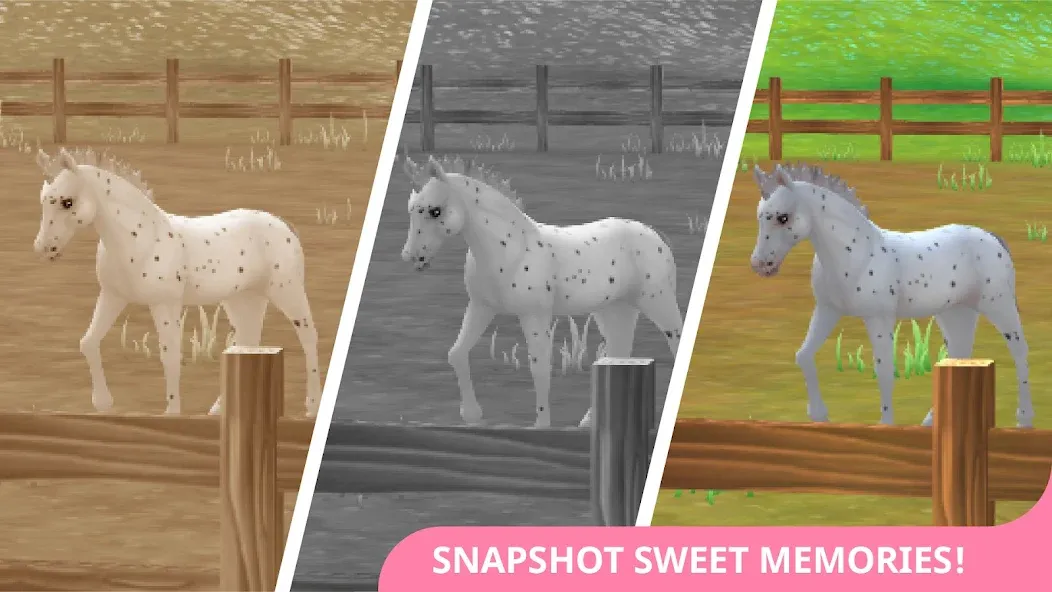Star Stable Horses (СТар Стабл Хорсес) МОД/Взлом [Много денег, Монет и Все открыто] Screenshot 4