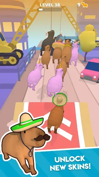Capybara Rush (Капибара Раш) МОД/Взлом [Бесконечные деньги, Монеты и Мега MOD] Screenshot 3