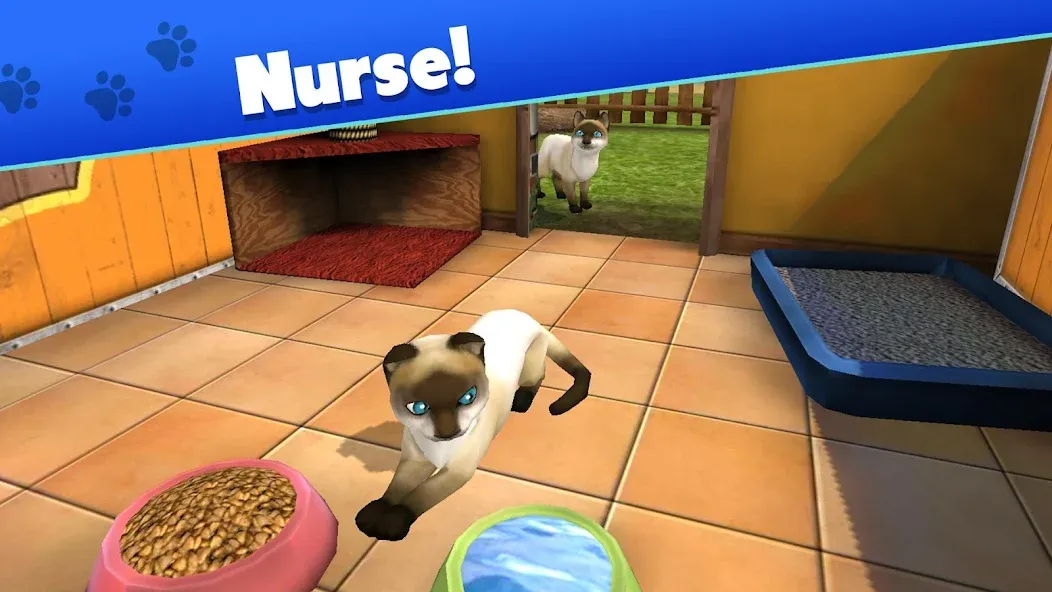 Pet World - My Animal Shelter (Пет Ворлд) МОД/Взлом [Деньги, Монеты и Меню MOD] Screenshot 3