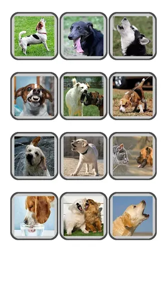 Dog Translator: Bark to Human МОД/Взлом [Деньги, Монеты и Меню MOD] Screenshot 5