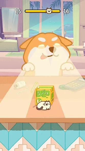 Hide And Seek: Cute Cat Escape МОД/Взлом [Много денег, Монет и Все открыто] Screenshot 3