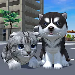 Скачать Cute Pocket Cat And Puppy 3D Взлом (много денег) на Андроид бесплатно