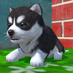 Скачать Cute Pocket Puppy 3D Взлом (Много денег) на Андроид бесплатно