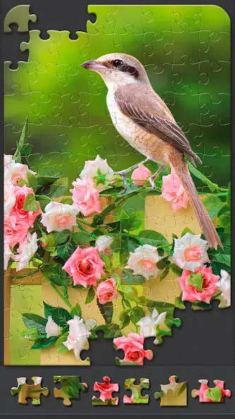 Jigsaw Puzzles for Adults МОД/Взлом [Бесконечные деньги, Монеты и Мега MOD] Screenshot 3