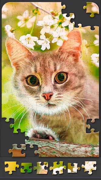 Jigsaw Puzzles for Adults МОД/Взлом [Бесконечные деньги, Монеты и Мега MOD] Screenshot 5