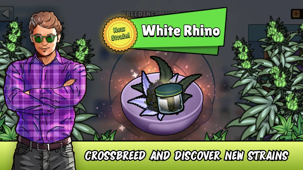 Weed City - Hemp Farm Tycoon (Уид Сити) МОД/Взлом [Много денег, Монет и Все открыто] Screenshot 1
