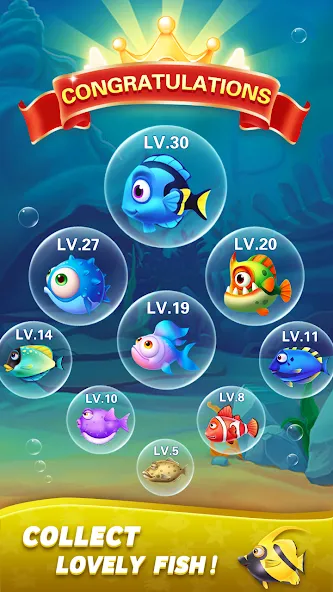 Block Ocean 1010 Puzzle Games (Блок Океан 1010 Головоломки) МОД/Взлом [Все открыто, Дополнительные деньги и Меню MOD] Screenshot 5