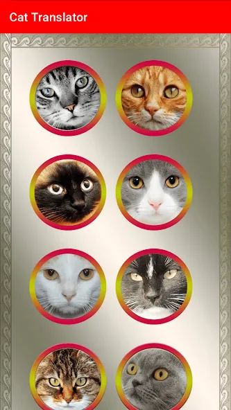 Translator for Cats Prank МОД/Взлом [Бесконечные деньги, Монеты и Мега MOD] Screenshot 3