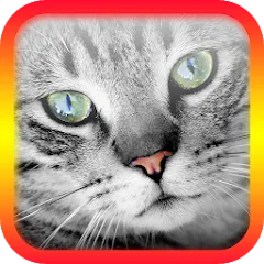 Скачать Translator for Cats Prank Взлом (Все кошачьи фразы открыты) на Android