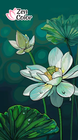 Zen Color - Color By Number (Зен Колор) МОД/Взлом [Много монет, Открытые уровни и Мега MOD] Screenshot 1
