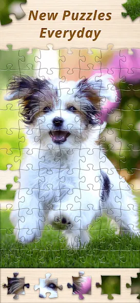 Jigsaw Premium Puzzles HD (Джигсоу) МОД/Взлом [Все открыто, Дополнительные деньги и Меню MOD] Screenshot 5