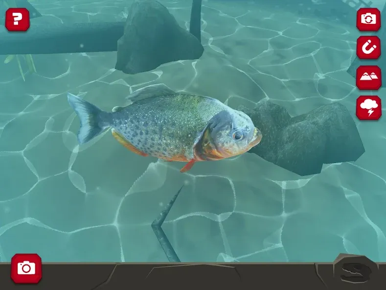 Legendary Creatures (Существо Легендарные) МОД/Взлом [Деньги, Монеты и Меню MOD] Screenshot 2