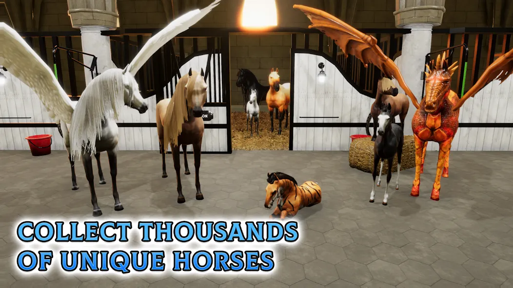 Horse Academy - Equestrian MMO (Хорс Академи) МОД/Взлом [Много монет, Открытые уровни и Мега MOD] Screenshot 5