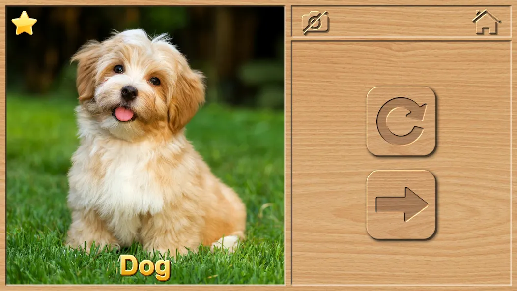 Animal Puzzles for Kids МОД/Взлом [Много денег, Монет и Все открыто] Screenshot 2