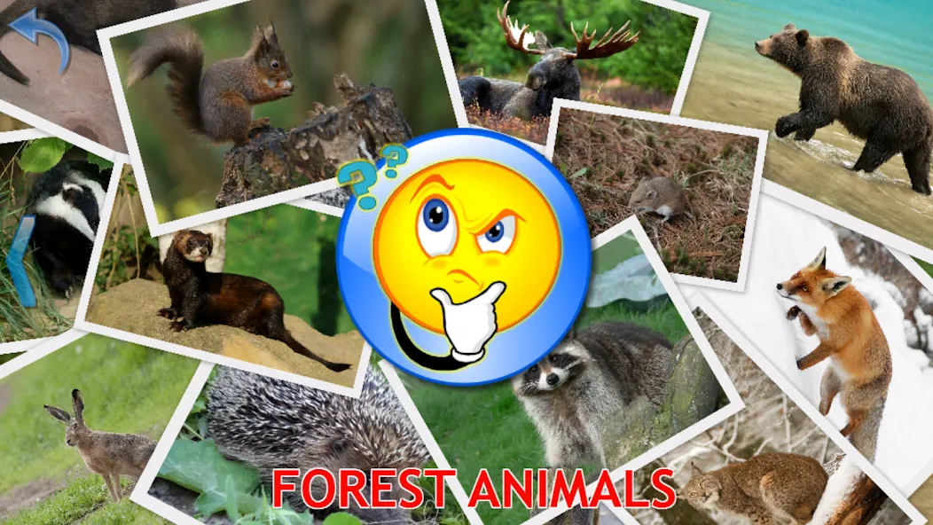 Animals for Kids МОД/Взлом [Много денег, Монет и Все открыто] Screenshot 5
