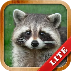 Скачать Animals for Kids взлом на все животные открыты для Андроид бесплатно
