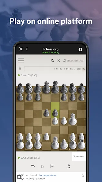 Chessnut (Честнат) МОД/Взлом [Все открыто, Дополнительные деньги и Меню MOD] Screenshot 2