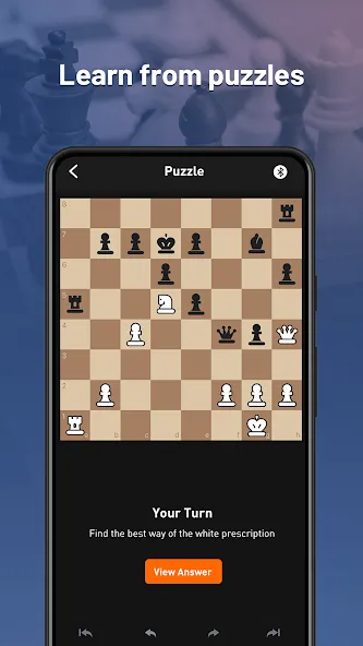 Chessnut (Честнат) МОД/Взлом [Все открыто, Дополнительные деньги и Меню MOD] Screenshot 3