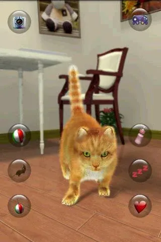 Talking Lovely Cat МОД/Взлом [Много денег, Монет и Все открыто] Screenshot 1