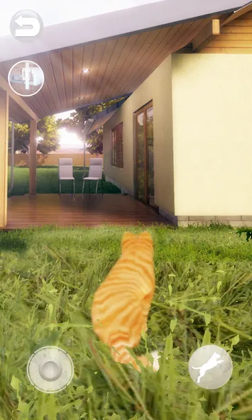 Talking Lovely Cat МОД/Взлом [Много денег, Монет и Все открыто] Screenshot 2